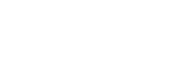 Professional Academy